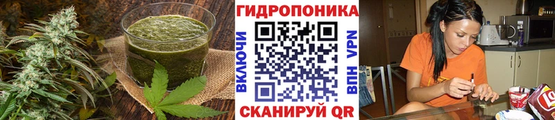 Cannafood марихуана  Купить где  Ноябрьск 