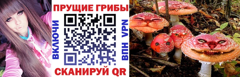 Галлюциногенные грибы Cubensis  Купить закладки  Ноябрьск 